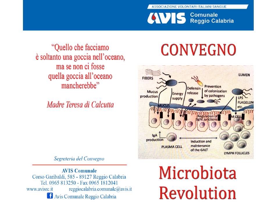 AVIS Reggio Calabria: Convegno 