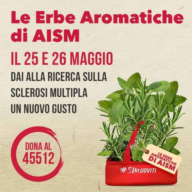 Le erbe aromatiche di AISM