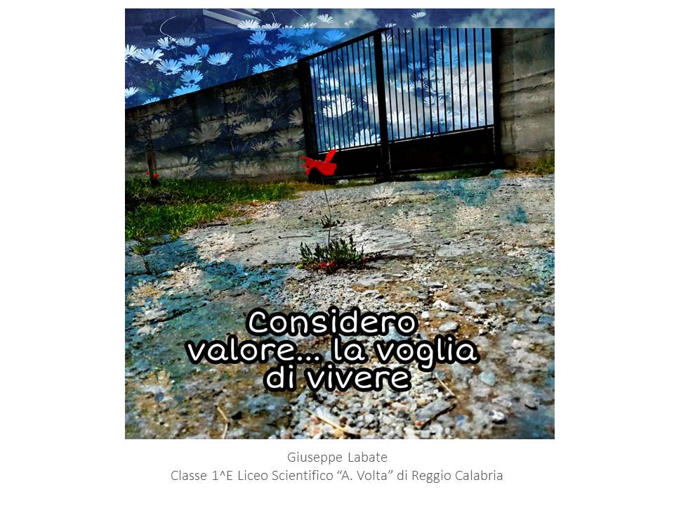 ETS » XII Edizione del concorso fotografico “Scatti di Valore – Sguardi sui  valori del Volontariato” - CSV dei Due Mari