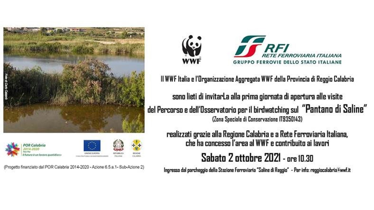 WWF Reggio Calabria: Inaugurazione Osservatorio birdwatching “Pantano di Saline”