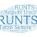 Nuova funzionalità sul deposito bilanci nel Runts