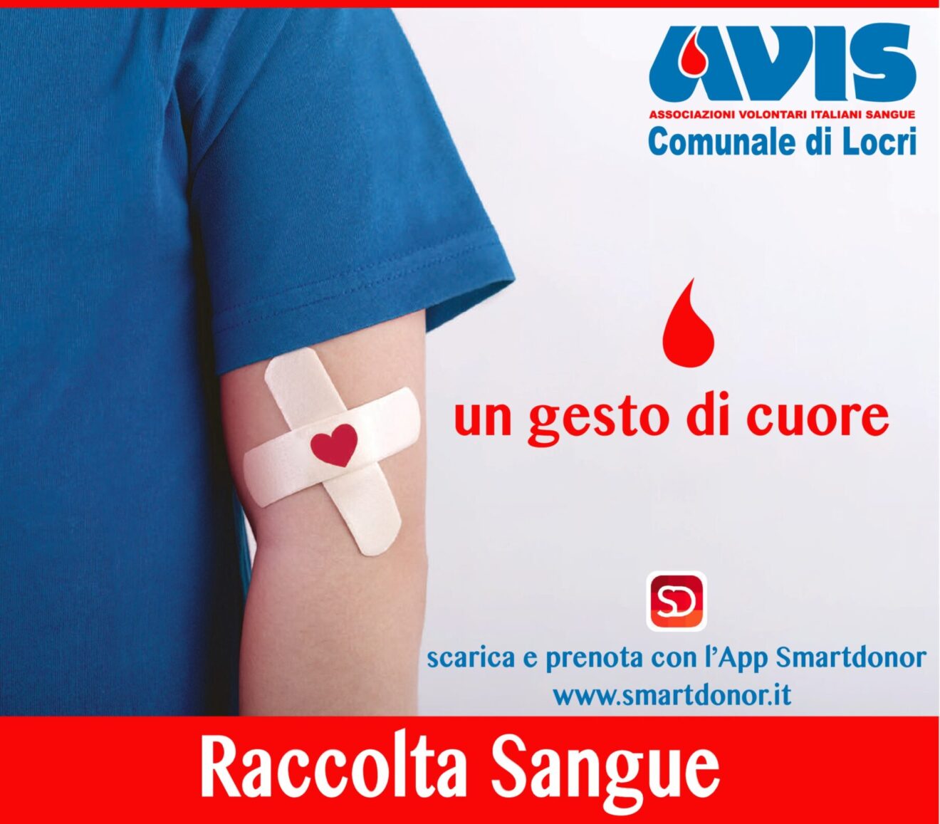 AVIS comunale di Locri: raccolte mese di Dicembre