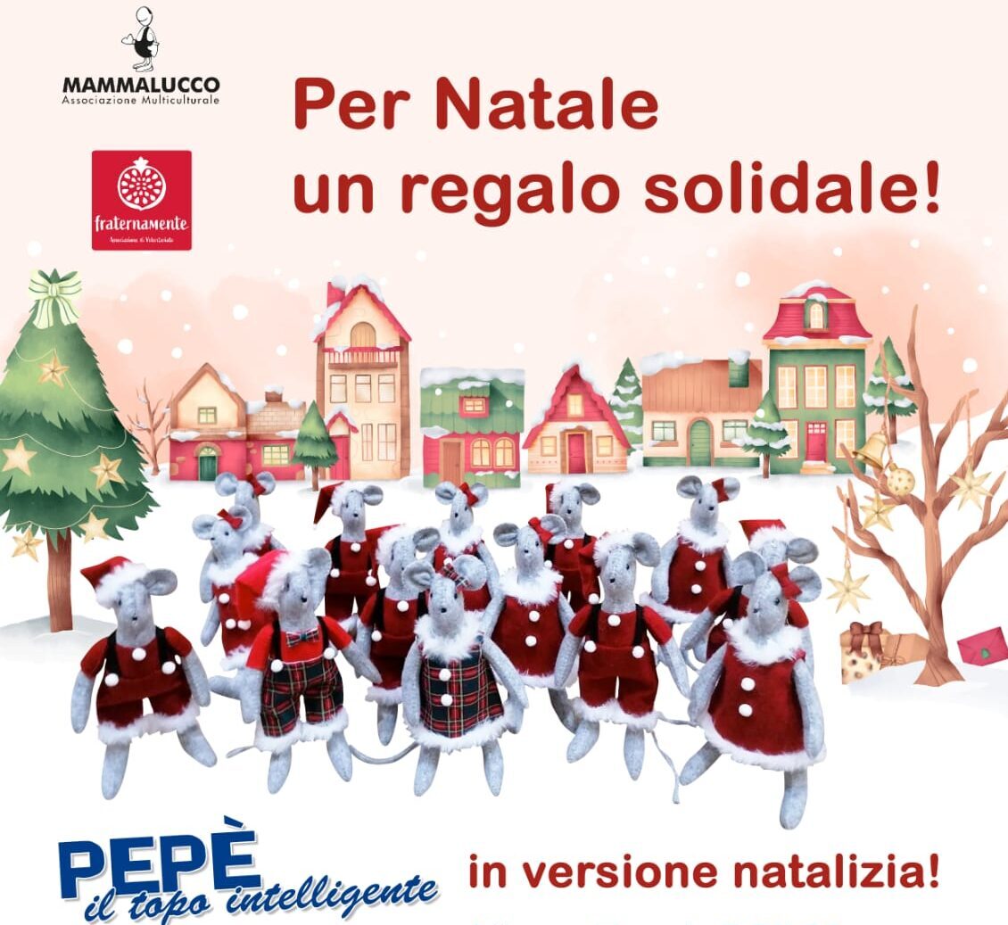 Dicembre e gennaio, Taurianova (RC), un regalo davvero solidale: raccolta fondi delle Associazioni Fraternamente e Mammalucco per i bimbi che hanno perso un genitore