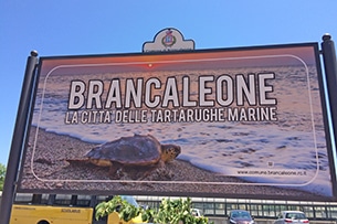 Corso di formazione per aspiranti volontari sul primo soccorso e trasporto di tartarughe marine