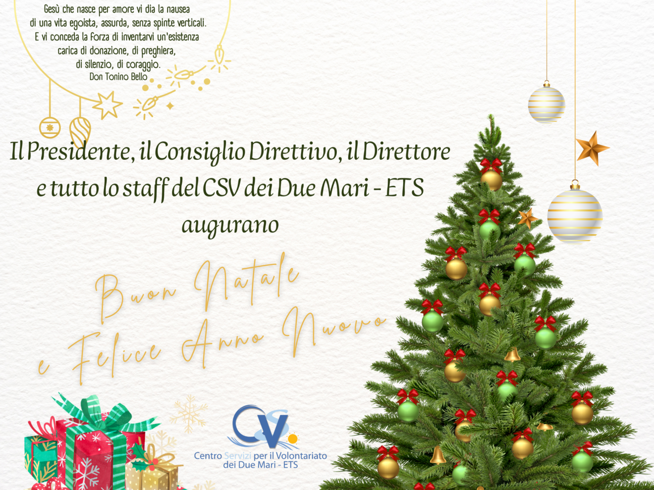 Auguri di Buon Natale e Felice Anno Nuovo